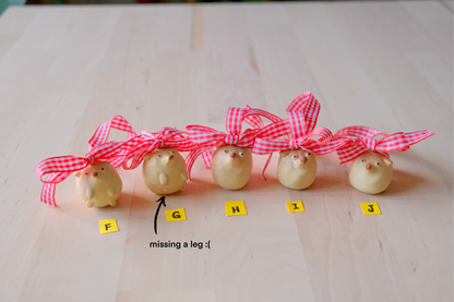 Dog Christmas Ornaments