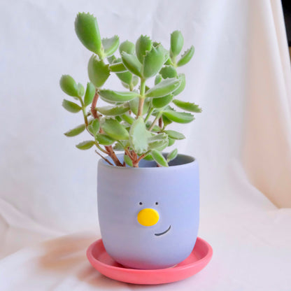 Smiley Planter