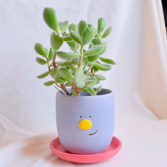 Smiley Planter