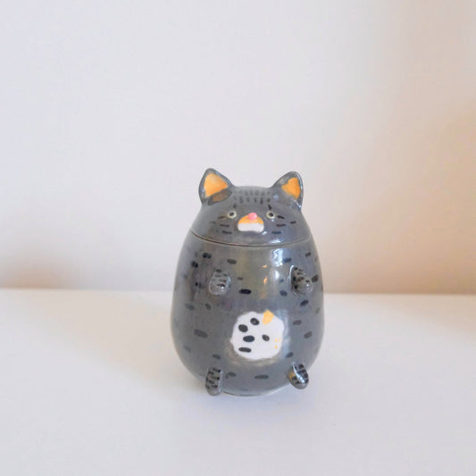 Gray Tabby Cat Jars