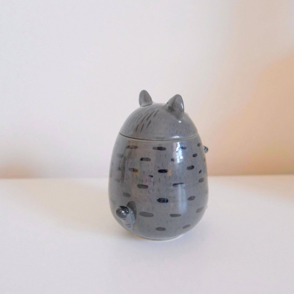 Gray Tabby Cat Jars
