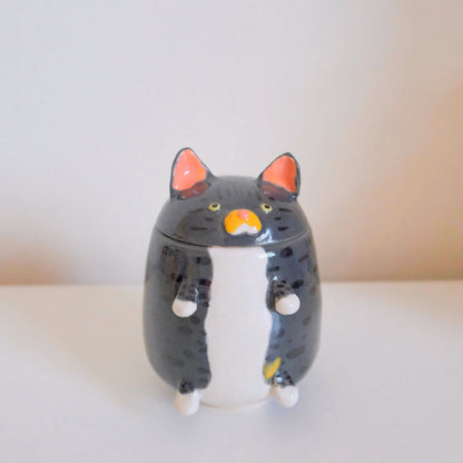 Gray Tabby Cat Jars