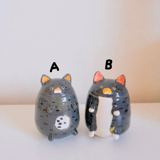 Gray Tabby Cat Jars
